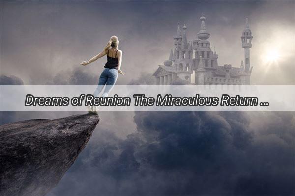 Dreams of Reunion The Miraculous Return of a LongLost Love